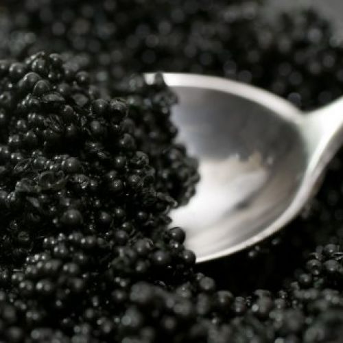 caviar